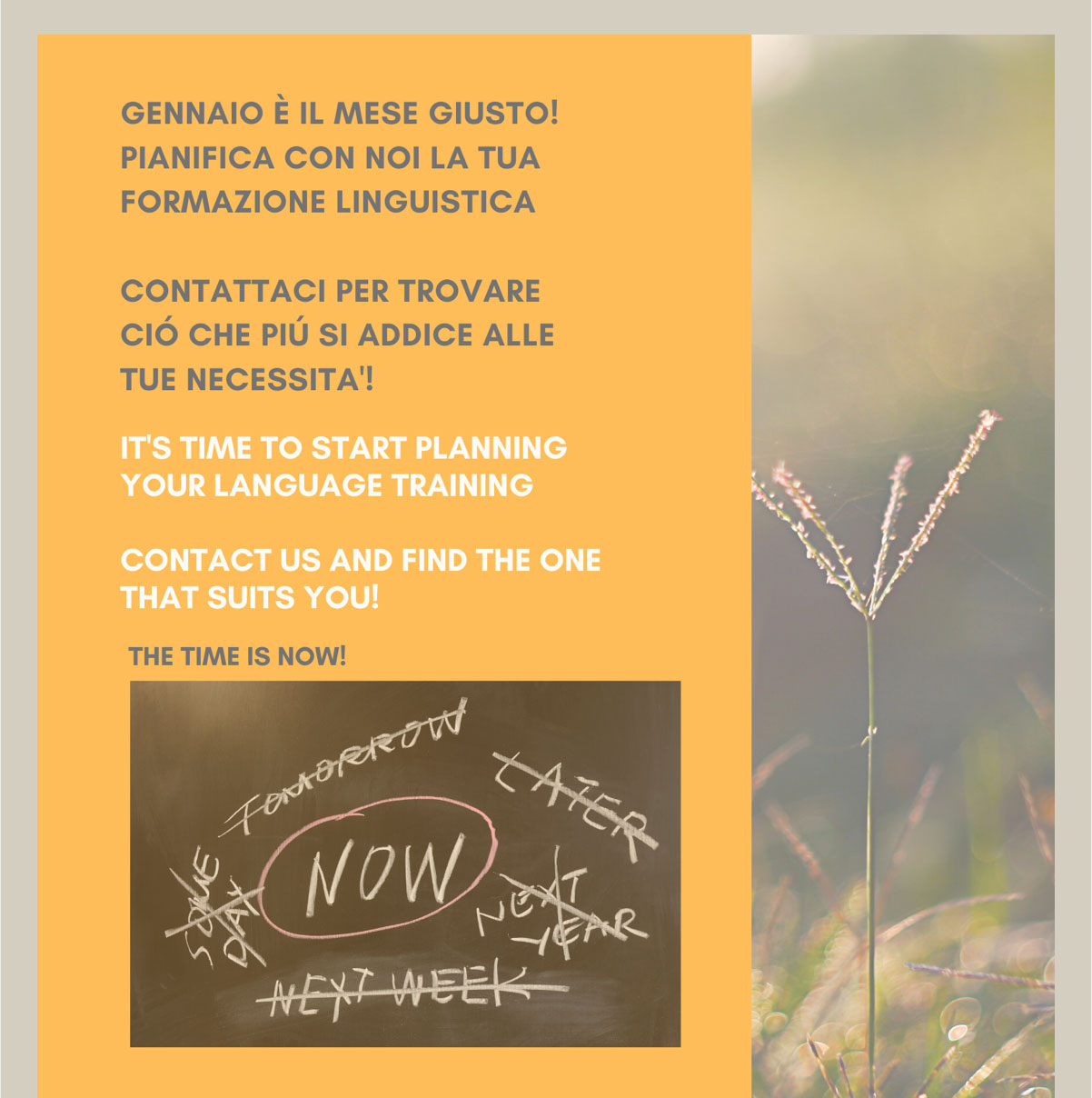 newsletter gennaio